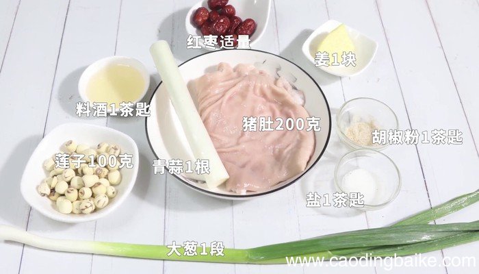 莲子煲猪肚的做法 莲子煲猪肚怎么做好吃