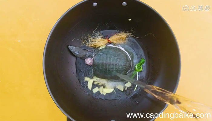 玉米须龟的做法 玉米须龟怎么做
