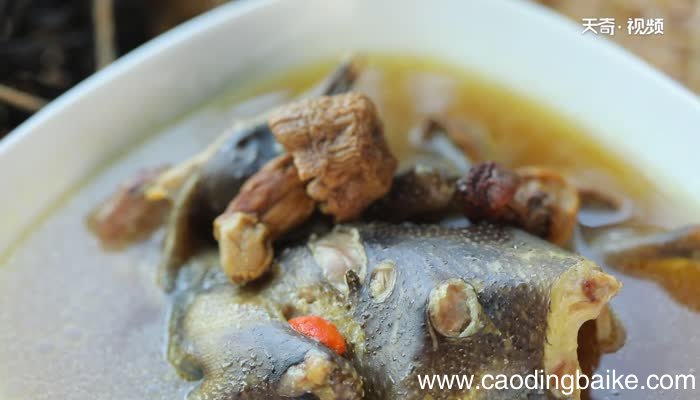 鸽子汤怎么做 鸽子汤的家常做法