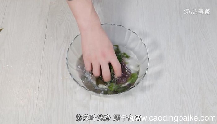 凉拌紫苏的做法 凉拌紫苏怎么做