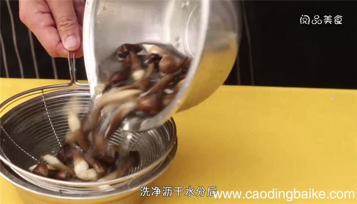 鸡枞菌豆腐汤怎么做 鸡枞菌豆腐汤做法是什么