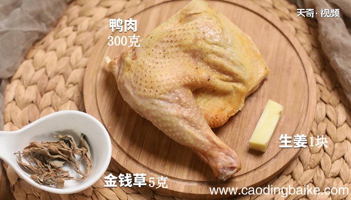 金钱草鸭汤的做法 金钱草鸭汤怎么做