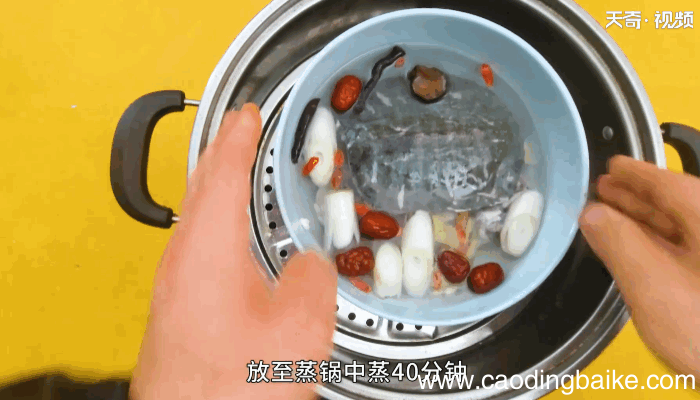 甲鱼的做法甲鱼怎么做