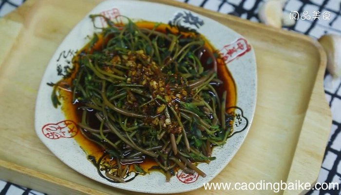 凉拌马齿苋的做法 凉拌马齿苋怎么做
