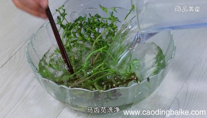 凉拌马齿苋的做法 凉拌马齿苋怎么做