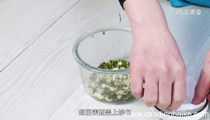 绿豆芽的发法 绿豆怎么发芽
