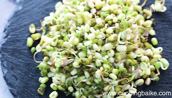 绿豆芽的发法 绿豆怎么发芽