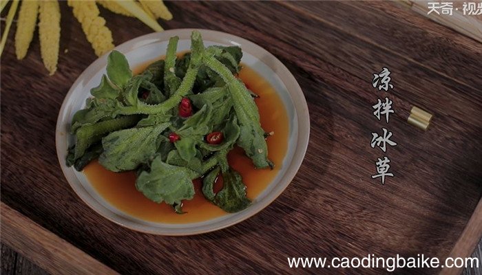凉拌冰草怎么做 凉拌冰草的做法
