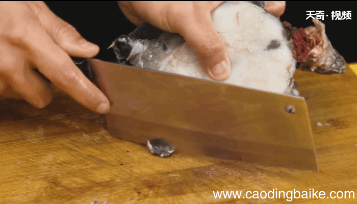 怎么正确杀甲鱼，怎样正确杀甲鱼