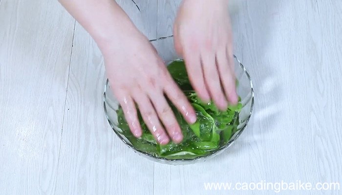 口蘑木耳菜怎么做 口蘑木耳菜的做法