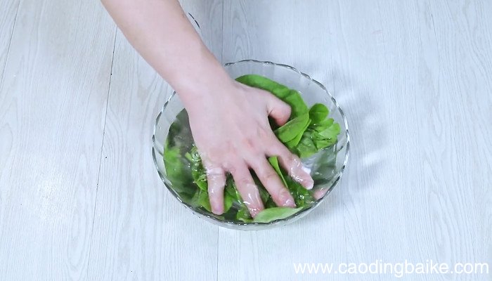 蚝油木耳菜的做法 蚝油木耳菜怎么做