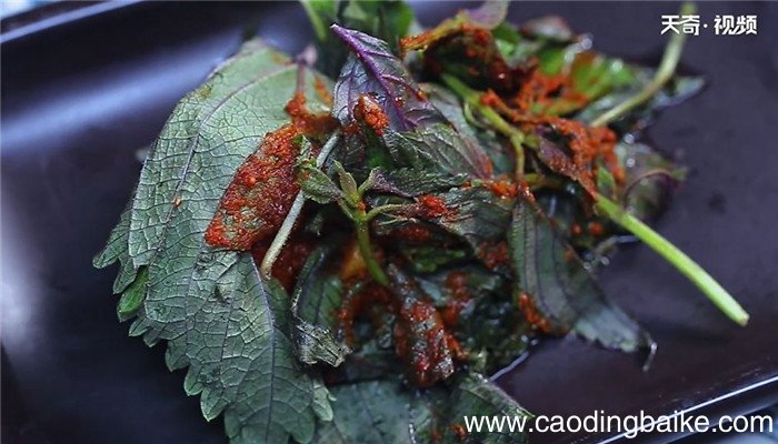 苏子叶咸菜怎么做 苏子叶咸菜的做法