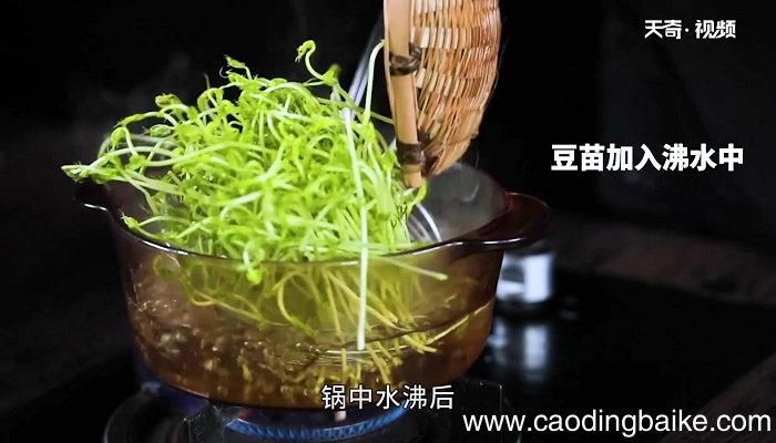 凉拌豌豆苗怎么做 凉拌豌豆苗的做法