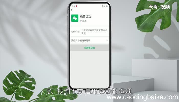 oppo手机自带计步器在哪里 oppo手机自带计步器在什么地方