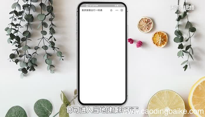 支付宝上怎么查询新冠疫苗接种记录 支付宝上如何查询新冠疫苗接种记录