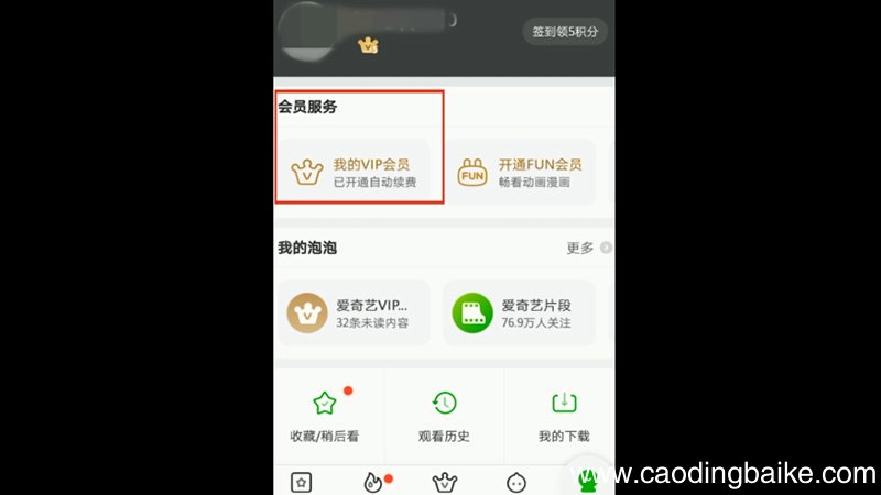 爱奇艺怎么取消自动续费