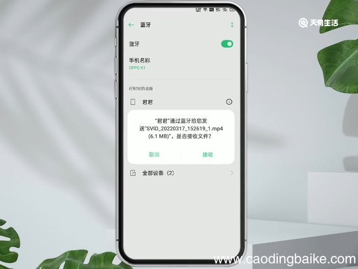 手机怎么传文件到另一台手机 手机文件怎么传到另一台手机