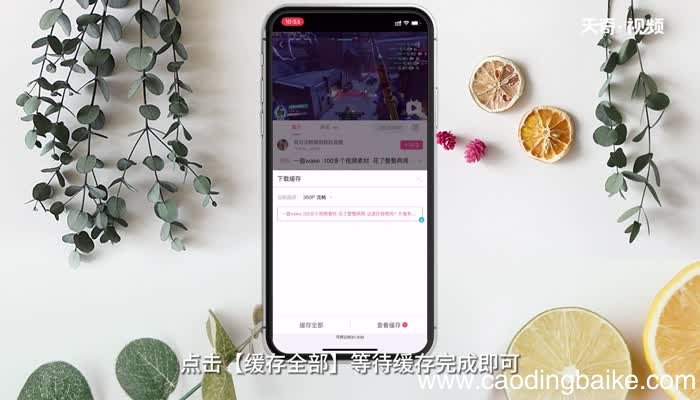 手机怎么下载电影 手机如何下载电影