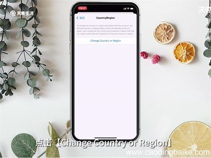 App Store怎么变成中文 AppStore变成中文