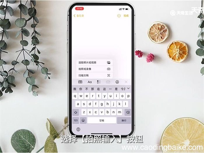 苹果手机如何扫描文件 苹果手机怎么扫描文件