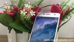 nce-tl10什么型号nce-tl10什么型号手机