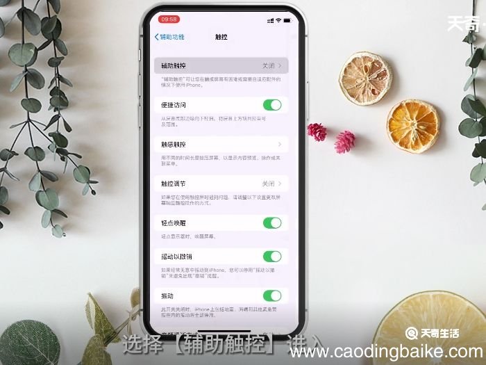 苹果怎么开启悬浮球 苹果如何开启悬浮球