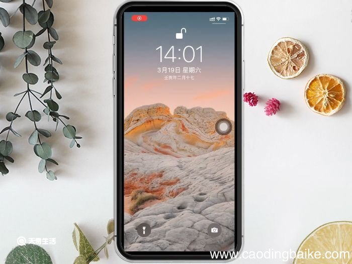 苹果13为什么不加指纹 苹果13为什么没有指纹