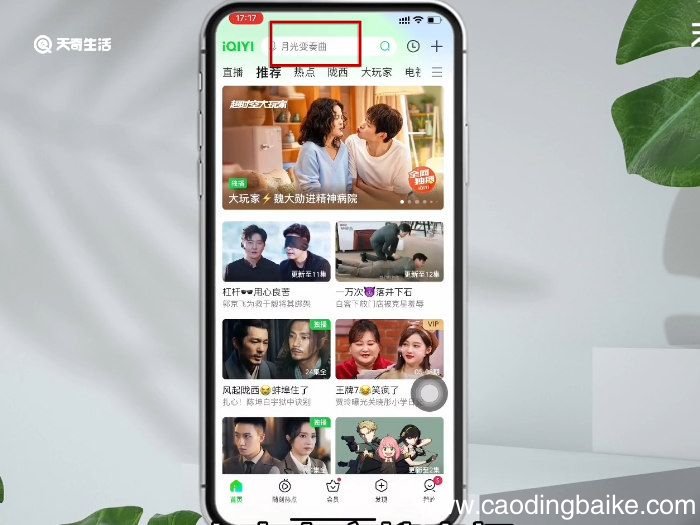 华灯初上第一季哪个app可以看 华灯初上第一季在哪儿看