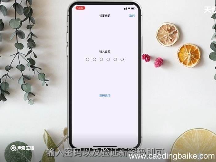 苹果手机密码怎么设置 苹果手机密码如何设置