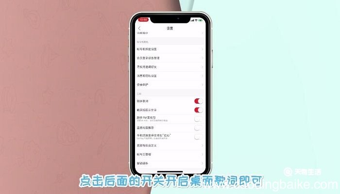 苹果11怎么弄出桌面歌词 苹果11怎么弄出桌面歌词网易云