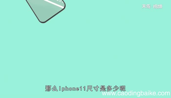 Iphone11尺寸Iphone11尺寸是多少