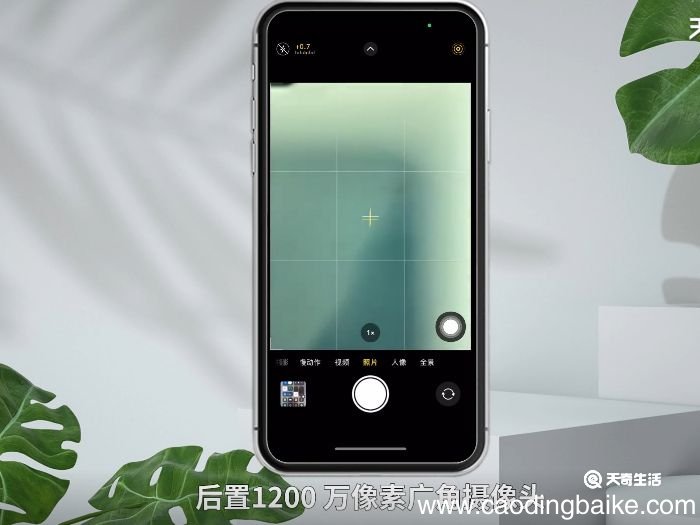 苹果xr是单卡还是双卡 苹果xr是单卡还是双卡手机
