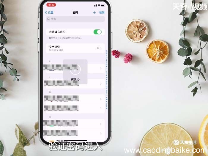 苹果已储存密码在哪找 苹果已储存密码如何查找