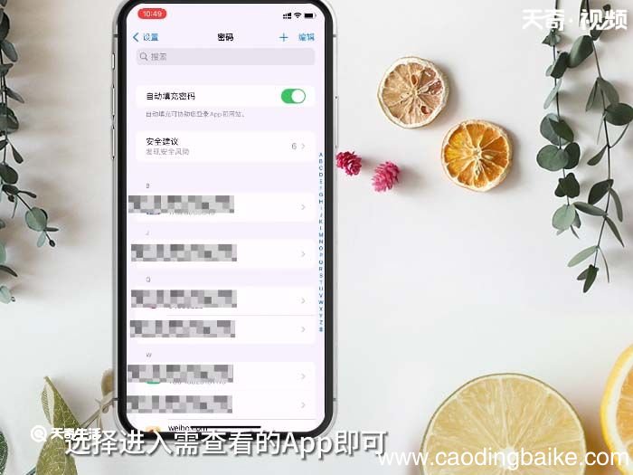 苹果已储存密码在哪找 苹果已储存密码如何查找