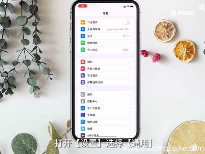 iPhone怎么清理内存 iphone怎么清理内存垃圾清理