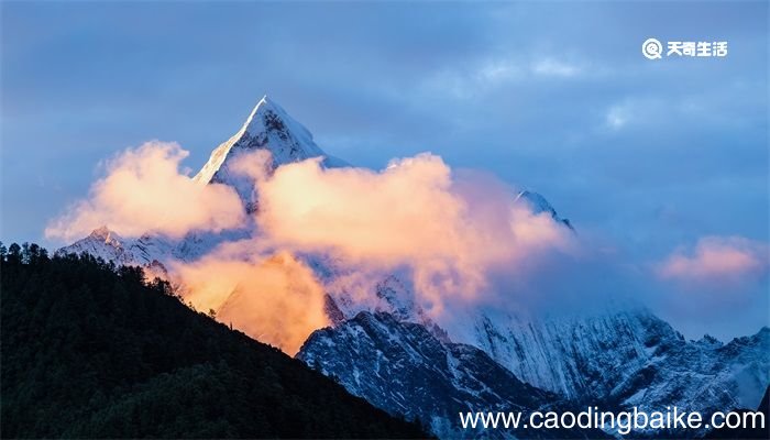 如何查询我现在的海拔高度是多少