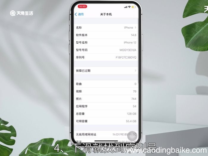 序列号在哪里看 序列号查看位置