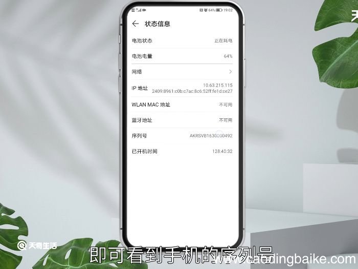 序列号在哪里看 序列号查看位置