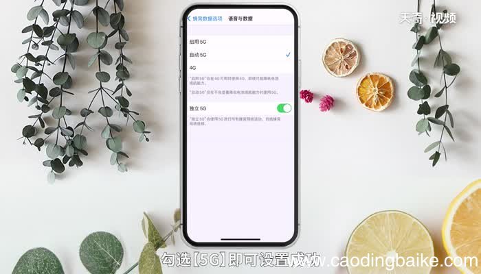 苹果12是5g手机吗 苹果12是不是5g手机