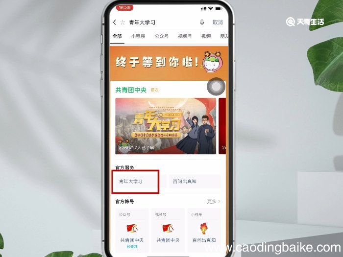 青年大学习怎么拉进度条青年大学习如何拉进度条