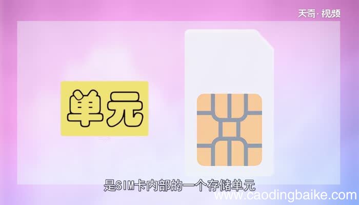 pin是什么什么是pin