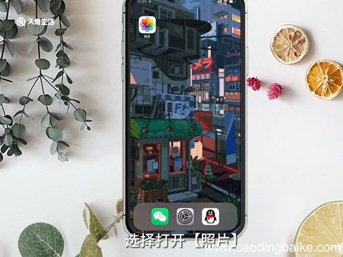苹果手机怎么看图片的详细信息 苹果手机哪里看图片的详细信息