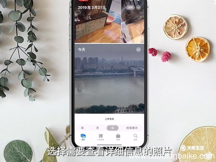 苹果手机怎么看图片的详细信息 苹果手机哪里看图片的详细信息