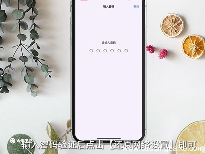 苹果显示无服务是什么意思 苹果显示无服务怎么办