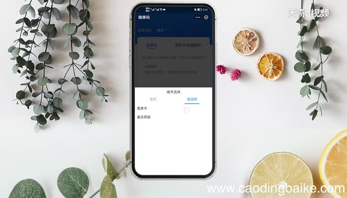 支付宝怎么看核酸检测报告 支付宝怎么看核酸检测报告的