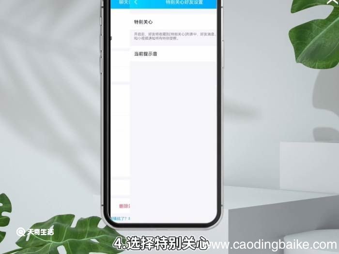 qq特别关心有什么用 qq特别关注和特别关心一样吗