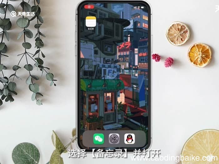 苹果手机如何扫描 苹果手机如何扫描操作