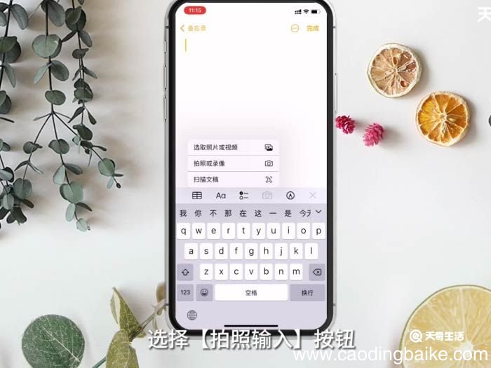 苹果手机如何扫描 苹果手机如何扫描操作