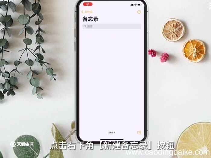 苹果手机如何扫描 苹果手机如何扫描操作