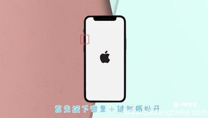 苹果手机强制开机怎么开 苹果手机强制开机